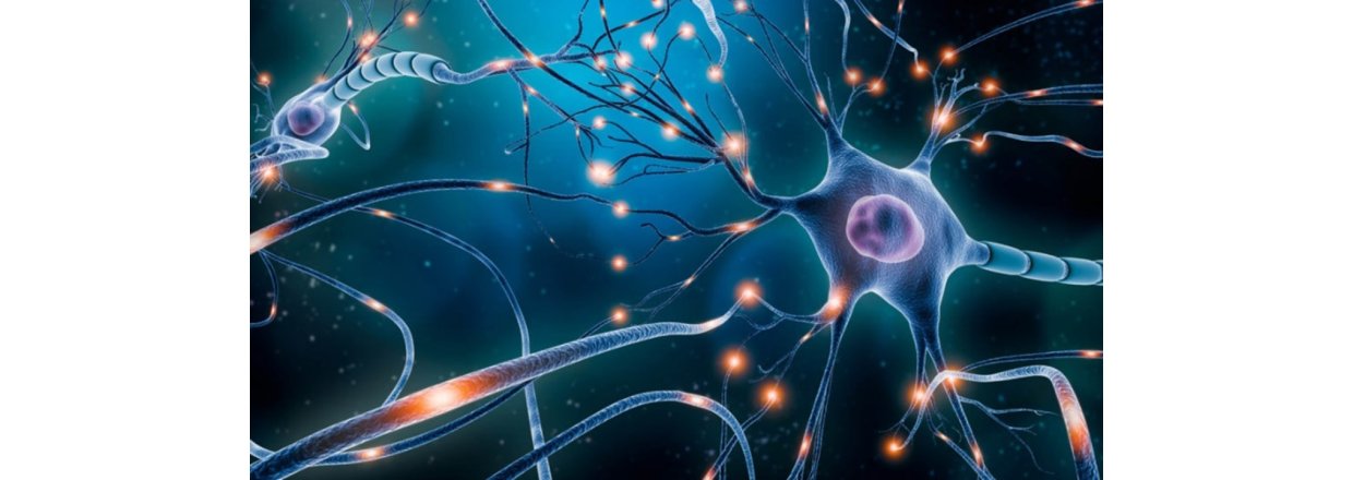 Nglen til neurologi 2025