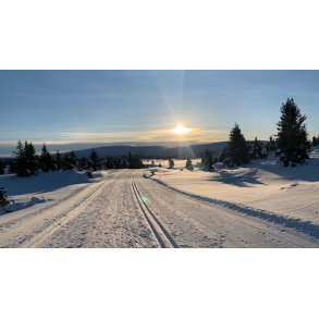 SE Ledelsesudvikling p toppen 11.-15.3.2026