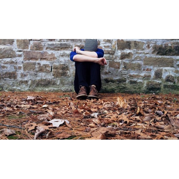 SE Psykiatri og kommunikationskursus 29.5-5.6.2026, Gr�nland