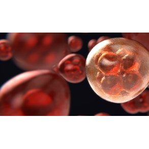 SE Kr�ft i almen praksis 16.-23.1.2027