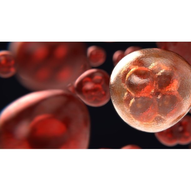 SE Kr�ft i almen praksis 16.-23.1.2027