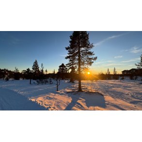 SE Krft i almen praksis 16.-23.1.2027