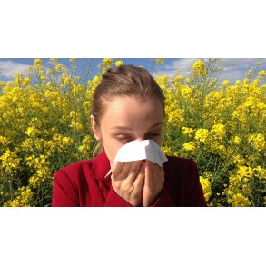 Astma og allergi 10.3.2027, K�benhavn